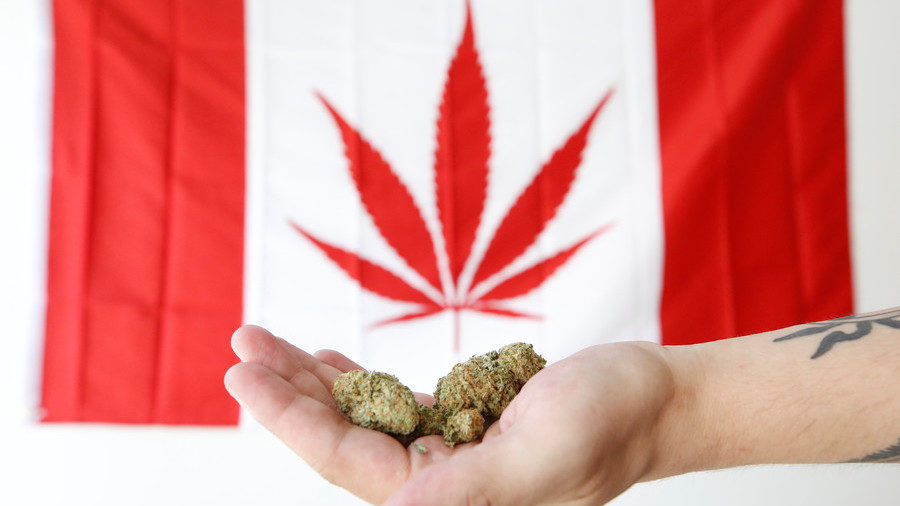 canada marijuana
