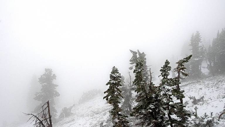 Summer snow was showing up on the Cody Bowl cam at Jackson Hole