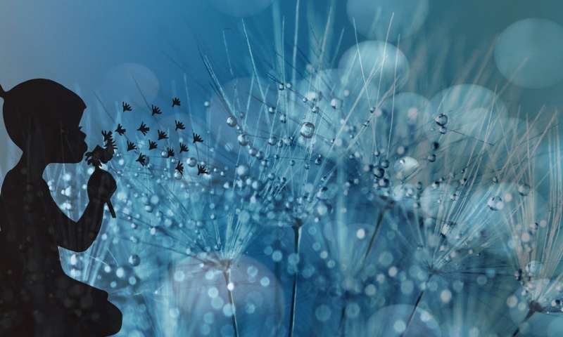 Click to enlarge dandelion