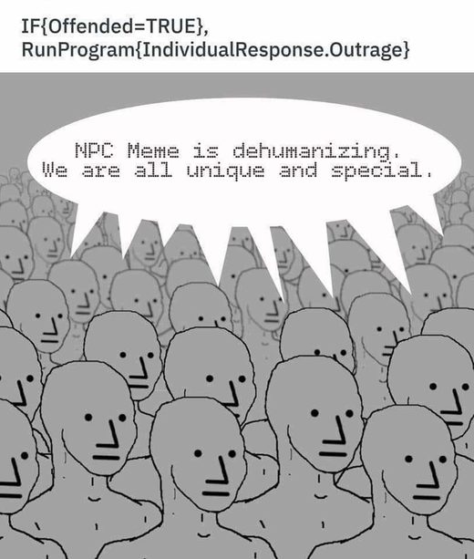 Click to enlarge 4Chan NPC