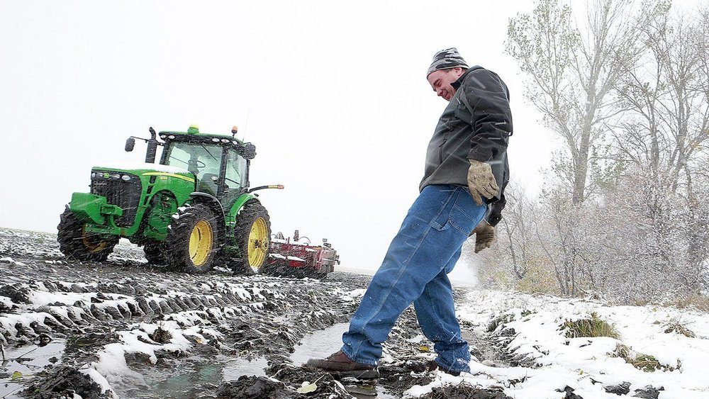 Snow in Manvel, ND on October 10, 2018.