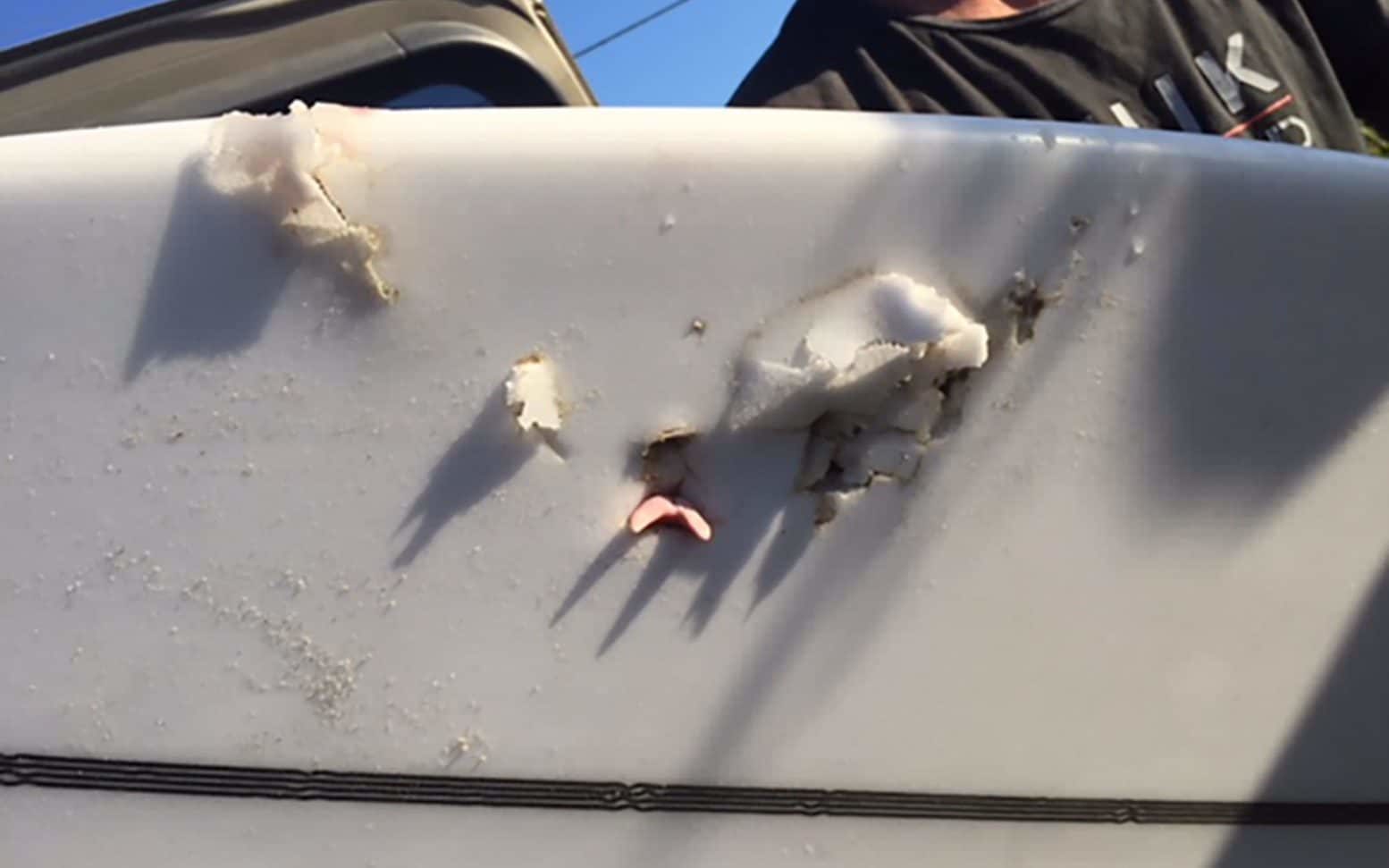 A shark tooth is embedded in the surfboard belonging to a Whanageri man who was attack by the shark off Baylys Beach