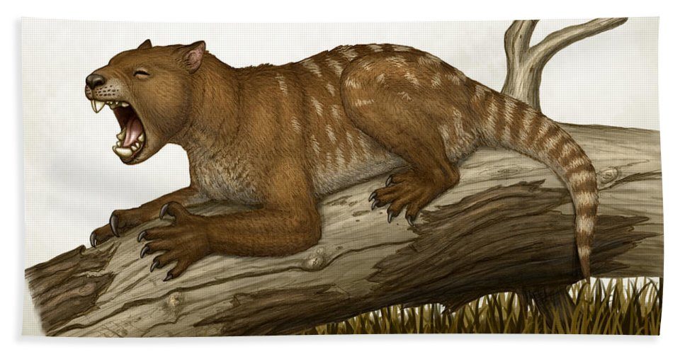 Thylacoleo Carnifex