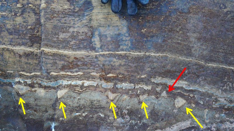 Click to enlarge stromatolites