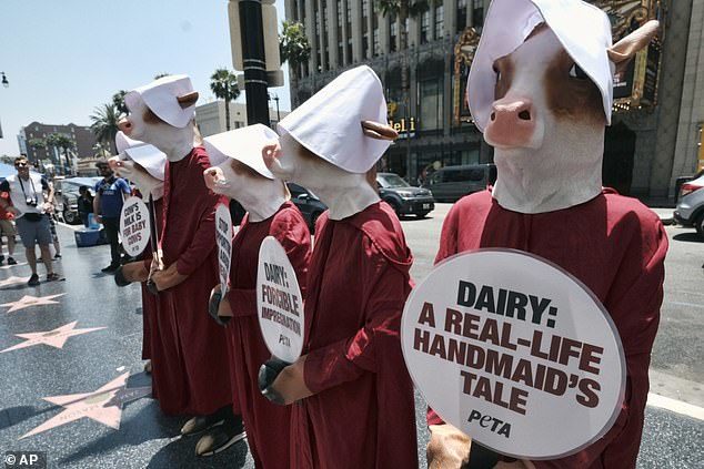 Click to enlarge PETA protest