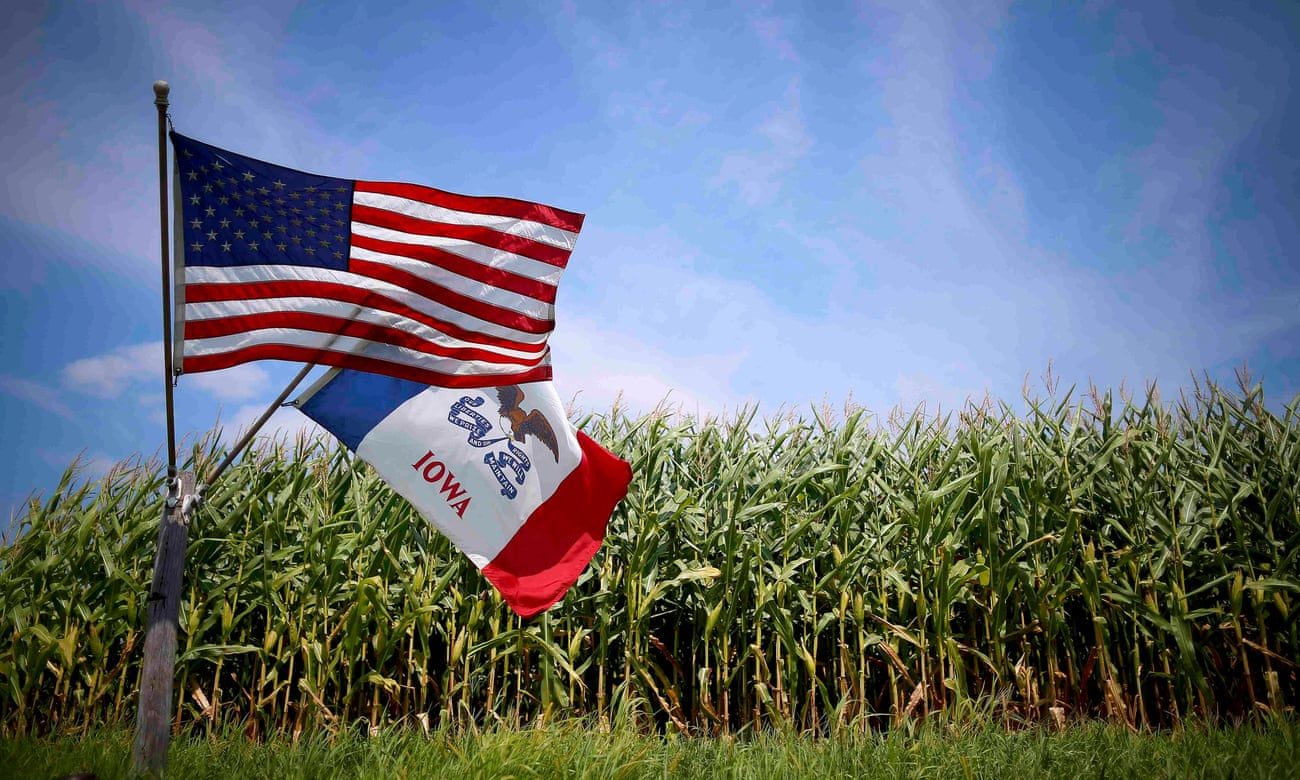 Click to enlarge corn farm