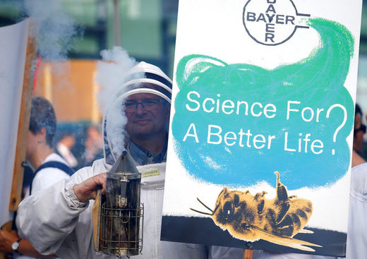 Bayer Monsanto kills bees