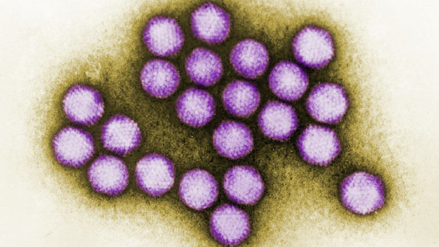 Adenovirus