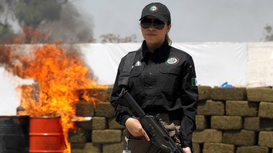 An agent of the Jalisco state Attorney General's office stands guard as seized marijuana bricks are incinerated in Guadalajara, Mexico