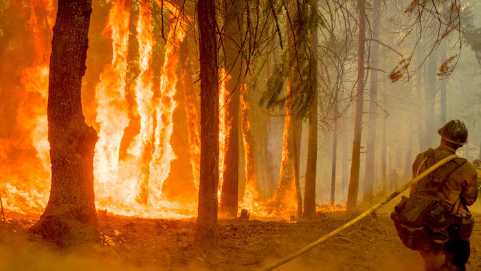 Click to enlarge Forest fire