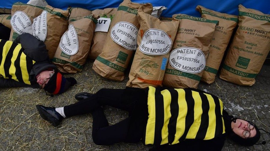 Click to enlarge bee protester against monsanto