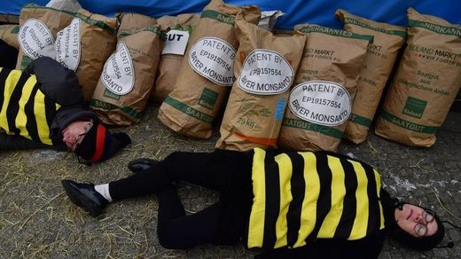 bee protester against monsanto