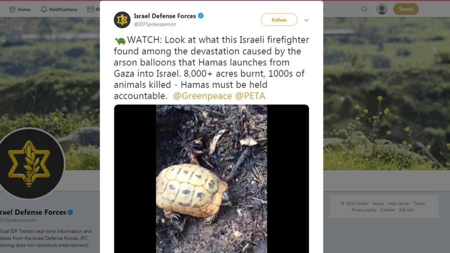 Click to enlarge IDF tortoise tweet