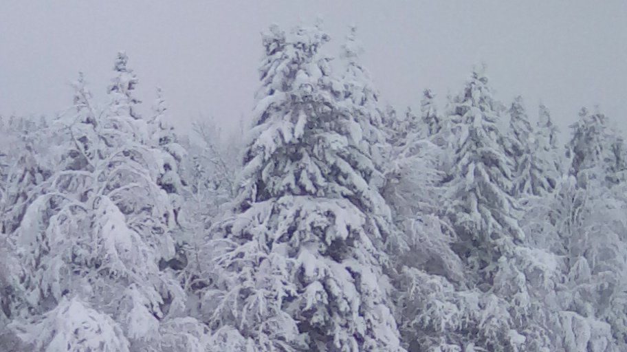snow