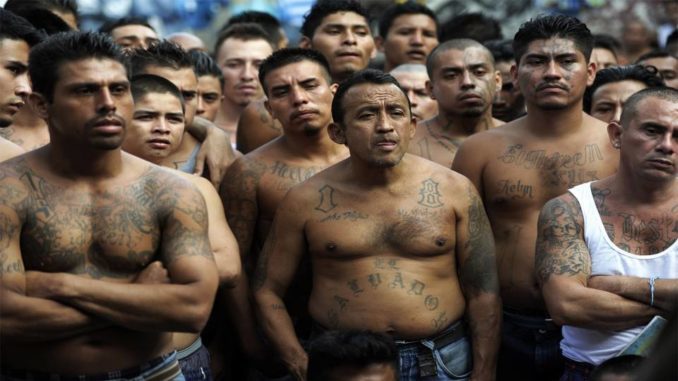 Click to enlarge Migrant caravan MS-13 gang members
