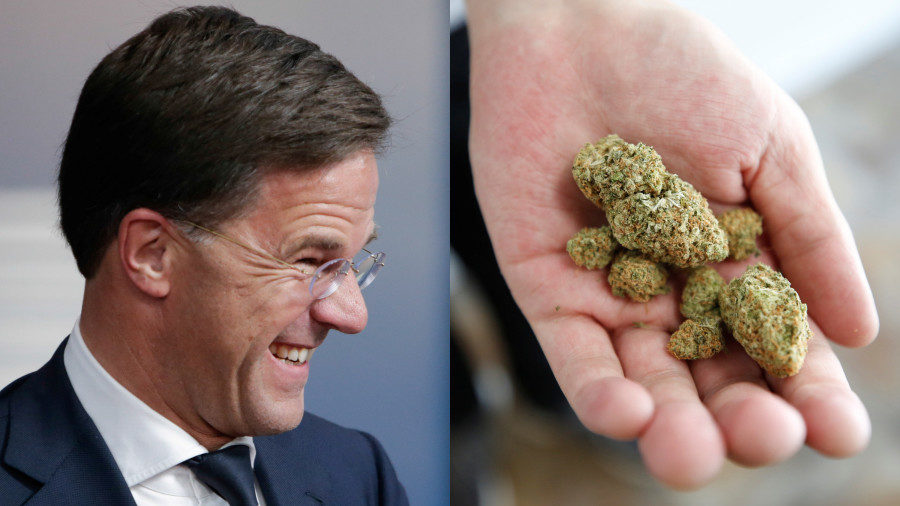 Mark Rutte and weed