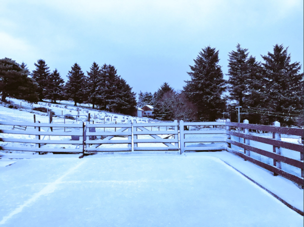 Snow in Donegal