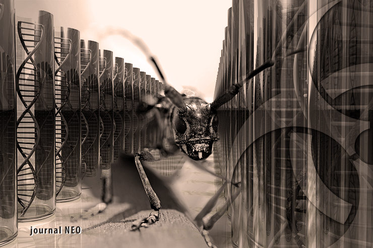Weaponized insects