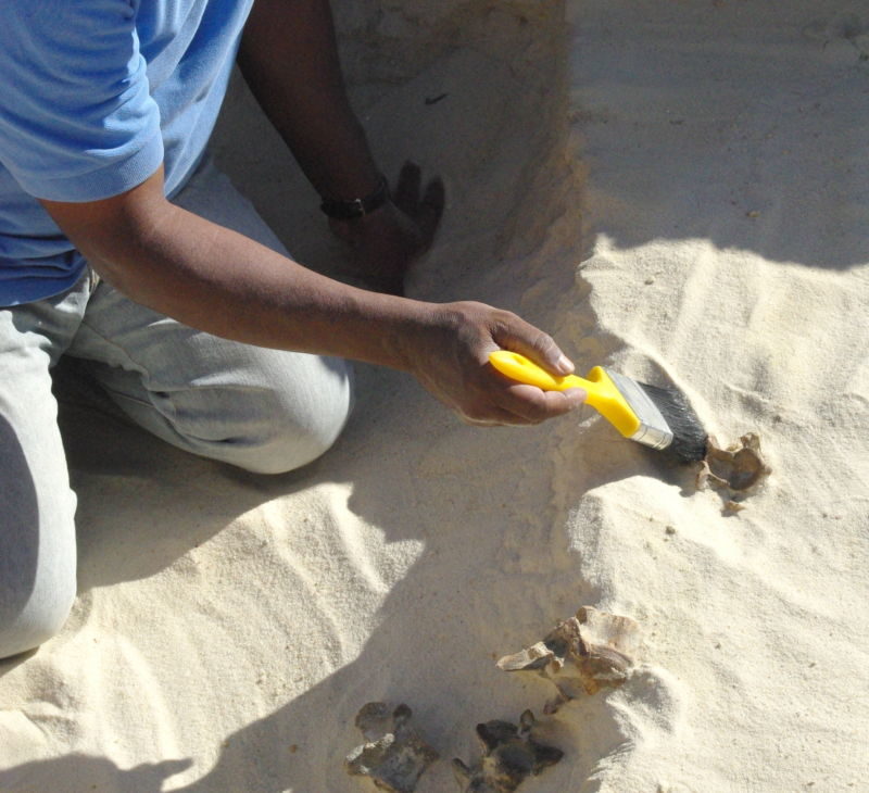 300,000 tool saudi arabia