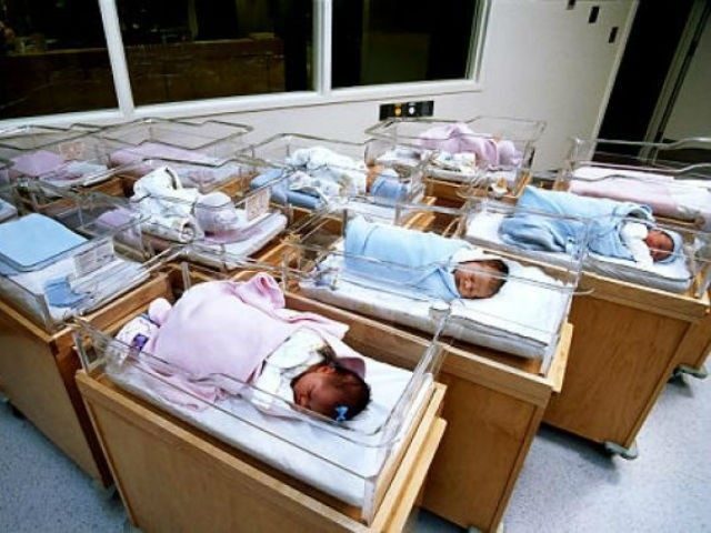 newborns
