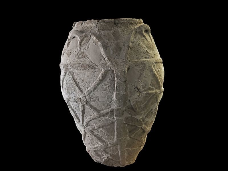 olive oil oldest traces