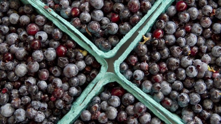blueberries