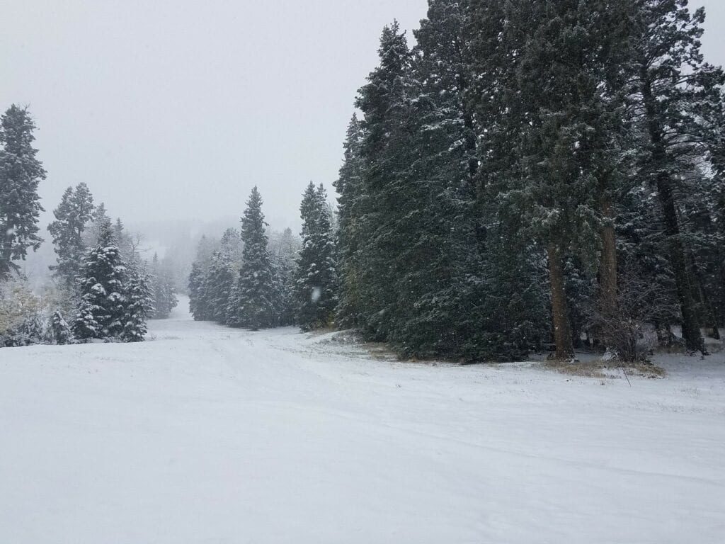 snow falling at Pajarito Mountain