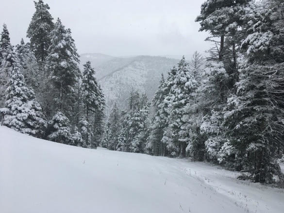 snow