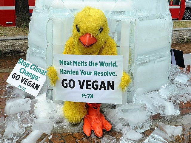 vegan climate change protester