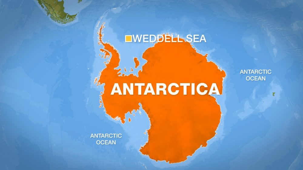 weddell sea