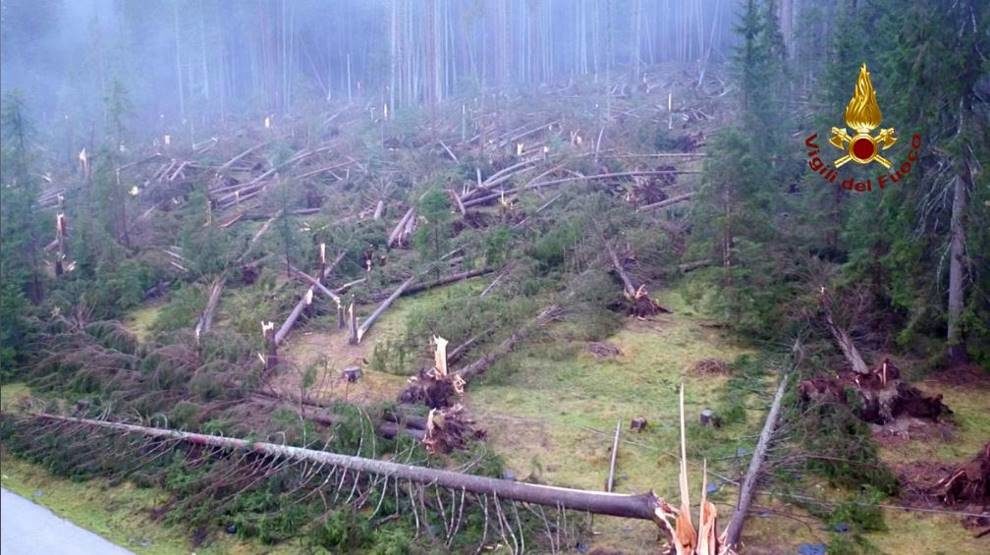 italy flood trees destroyed