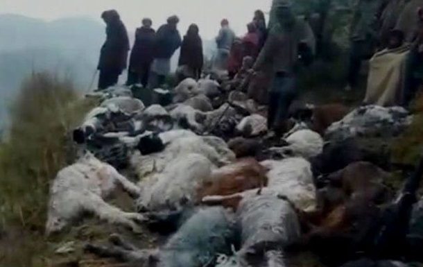 dead goats