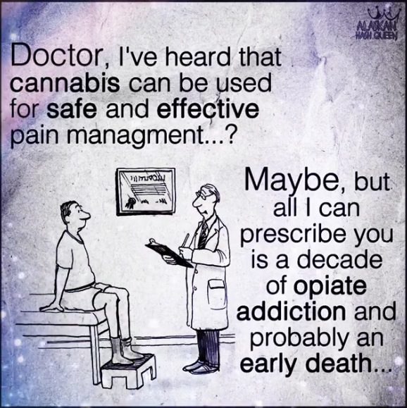 opioid comic