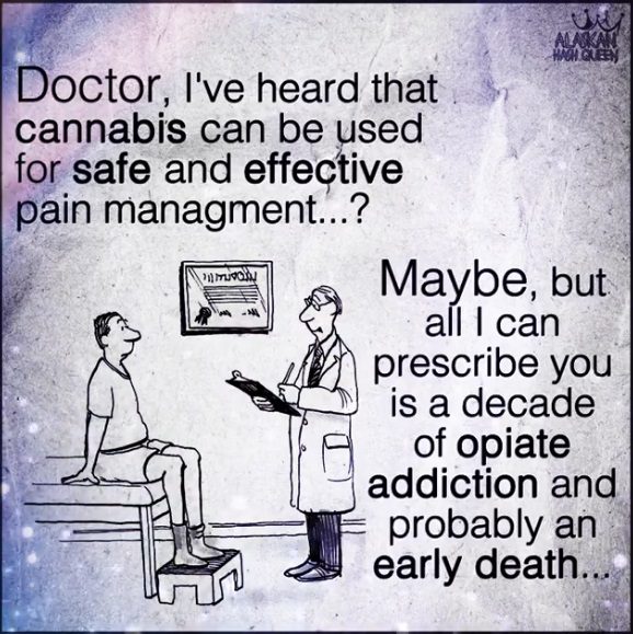 Click to enlarge opioid comic