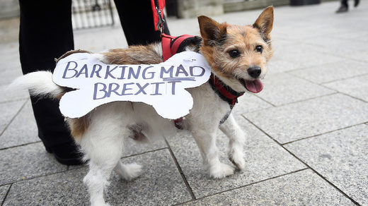 barking mad Brexit dog