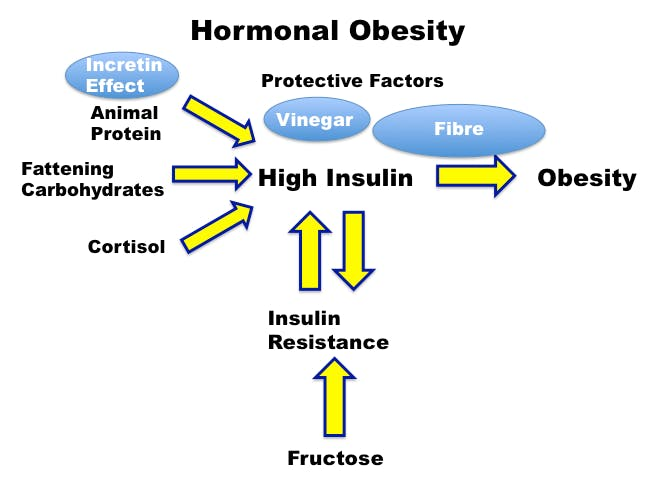Click to enlarge hormonal obesity chart