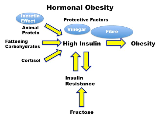 hormonal obesity chart