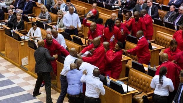 South Africa brawl fight Parliament