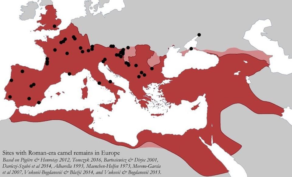 Click to enlarge camel sites roman empire