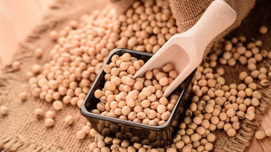 Click to enlarge soybeans