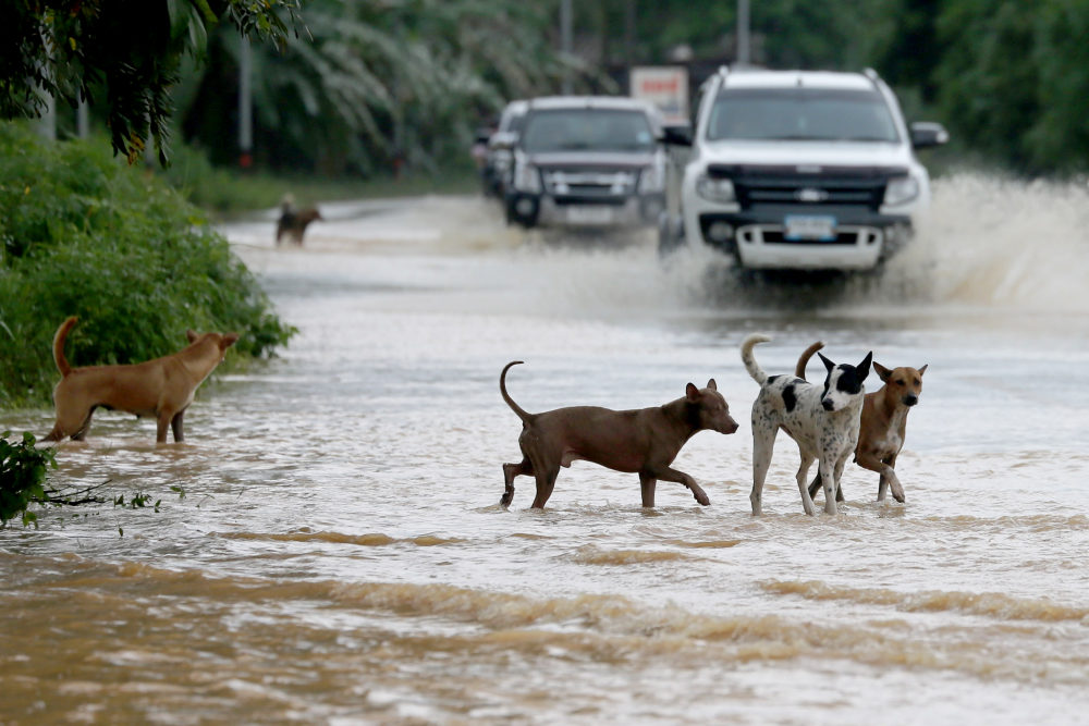 floods