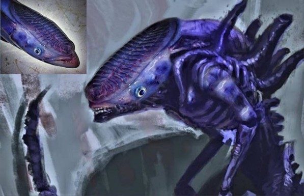 Click to enlarge Roman Fedortsov strange fish 5