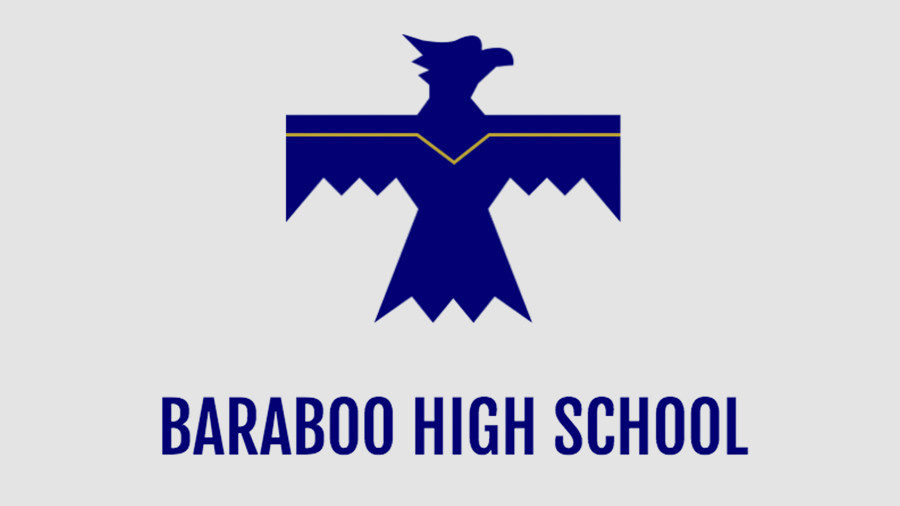 nazi insignia
