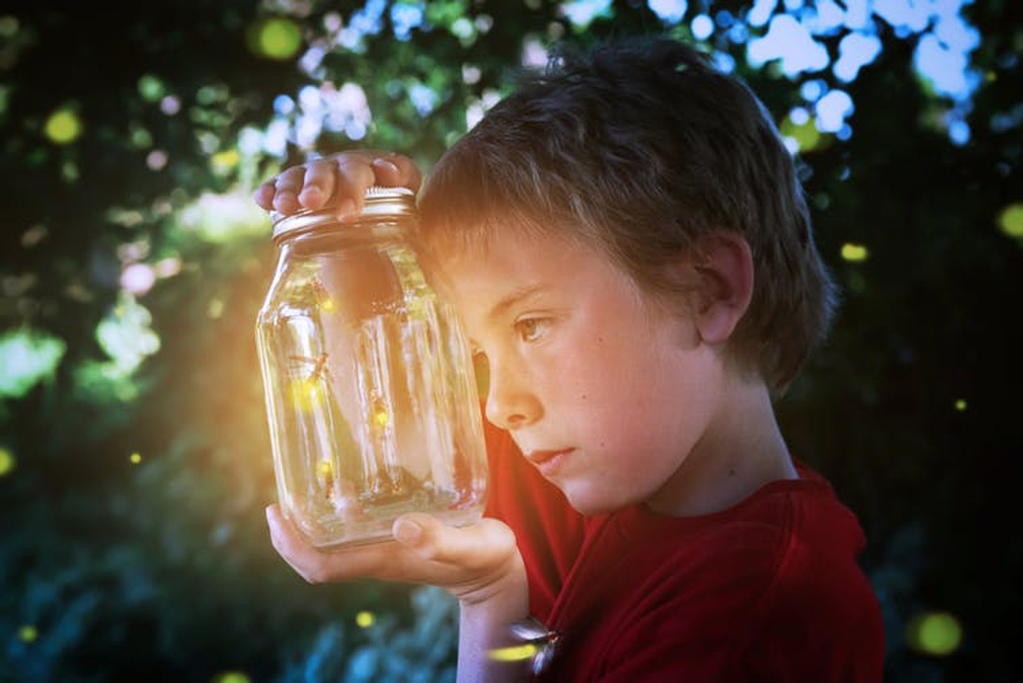 Fireflies