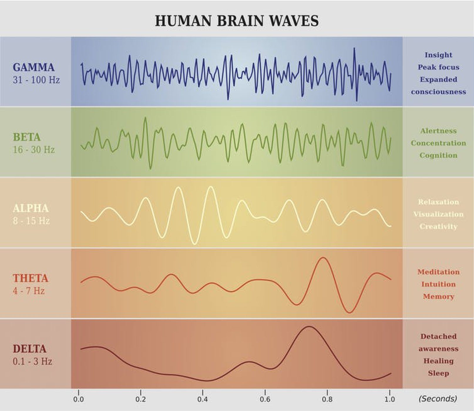 Brain Waves