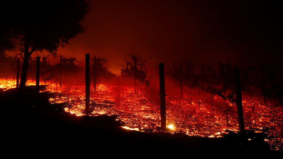 Wildfire
