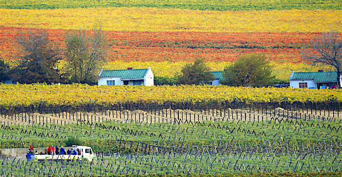 Click to enlarge south africa fields