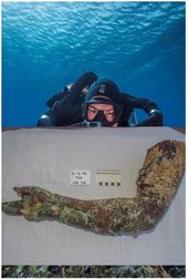 Click to enlarge Antikythera bronze arm