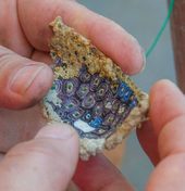 Click to enlarge Antikythera glass fragment