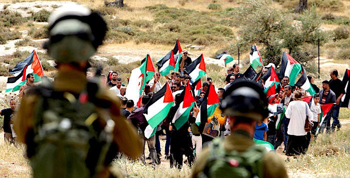 Palestinians/IDF